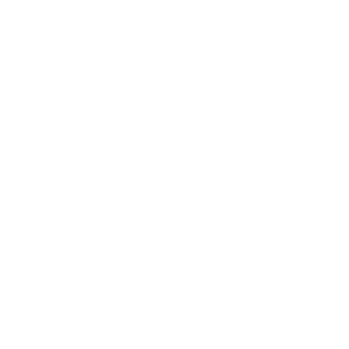 coding tag icon